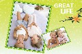 Family photo templates Great Life in Spring